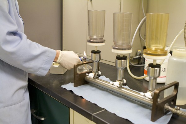 Zespół mierzy liczbę bakterii obecnych w plombowanych próbkach.
