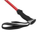 Kije trekkingowe GRAVEL 2.0